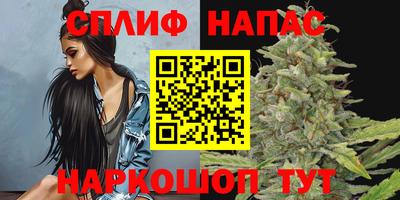 mdpv Будённовск