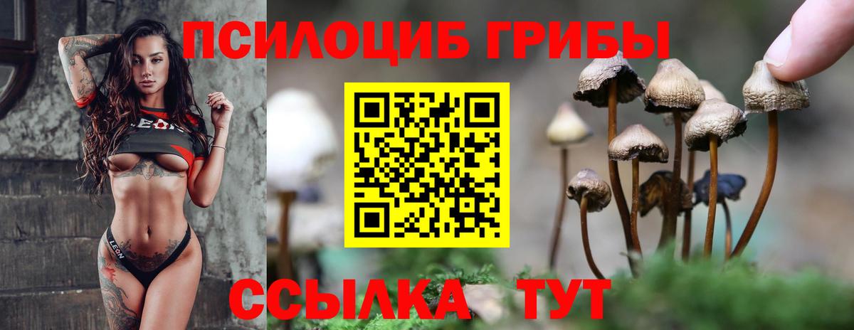Галлюциногенные грибы Psilocybine cubensis Пугачёв